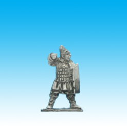 CH005 Armoured guard infantry with shield